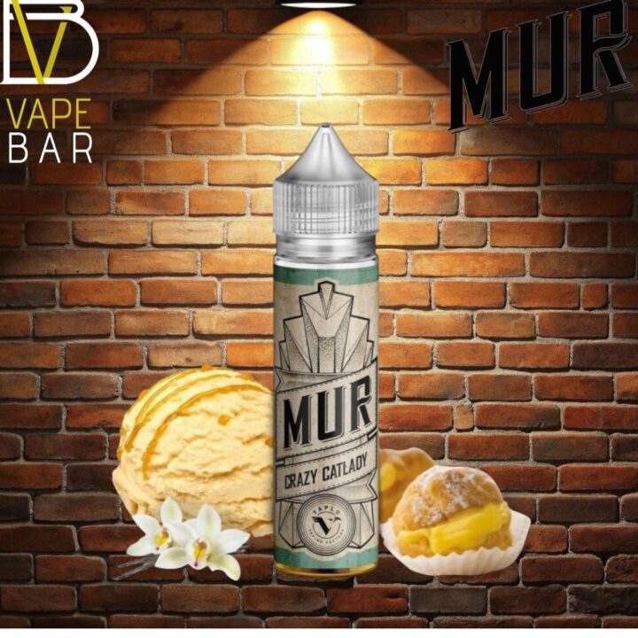 crazy catlady-Photoroom